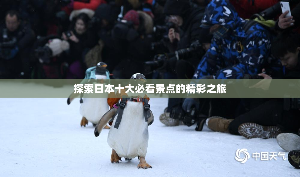 探索日本十大必看景点的精彩之旅