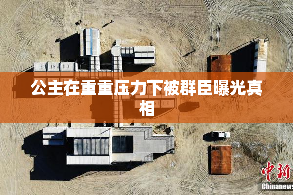 公主在重重压力下被群臣曝光真相