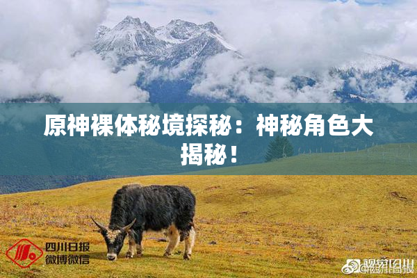 原神裸体秘境探秘：神秘角色大揭秘！