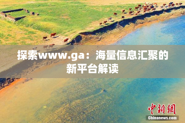 探索www.ga：海量信息汇聚的新平台解读