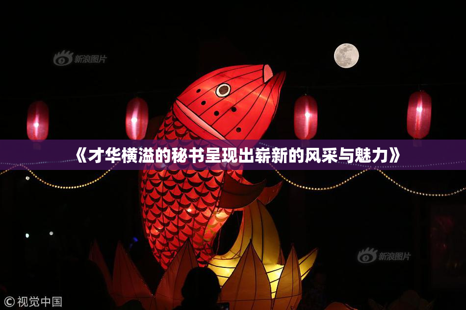 《才华横溢的秘书呈现出崭新的风采与魅力》