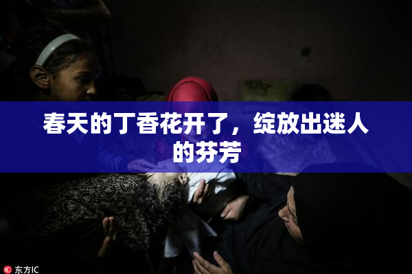 春天的丁香花开了，绽放出迷人的芬芳