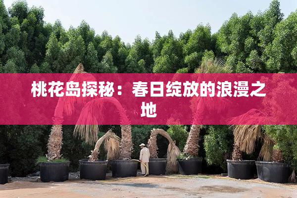 桃花岛探秘：春日绽放的浪漫之地