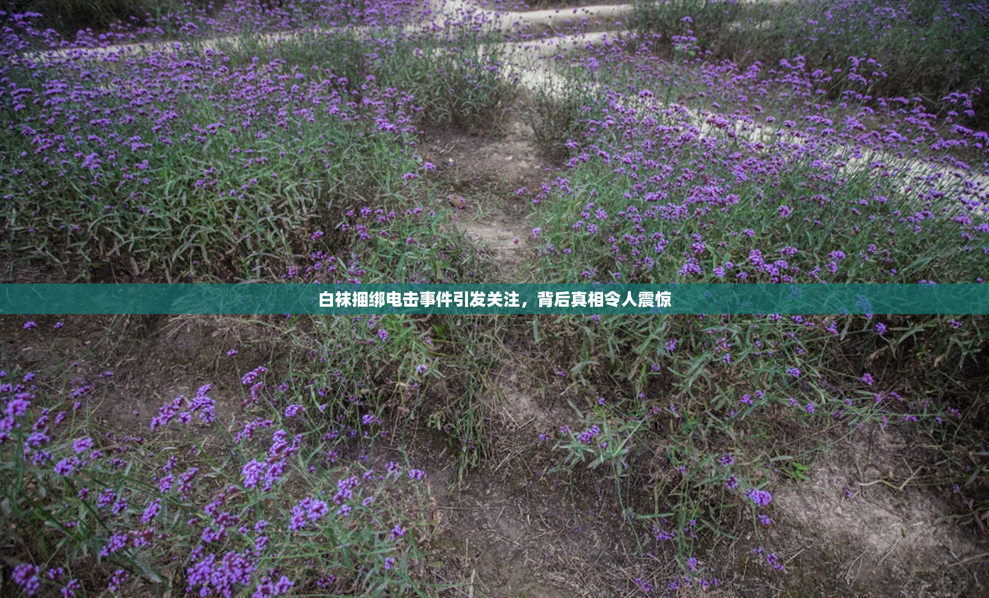 白袜捆绑电击事件引发关注，背后真相令人震惊