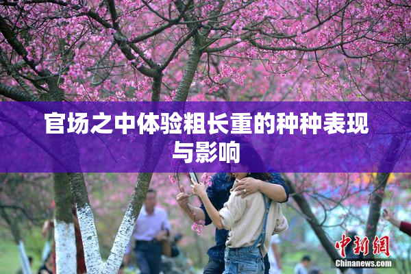官场之中体验粗长重的种种表现与影响