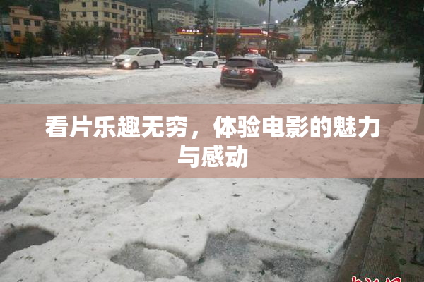 看片乐趣无穷，体验电影的魅力与感动