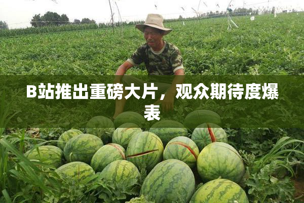 B站推出重磅大片，观众期待度爆表