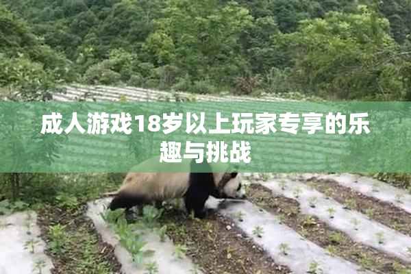 成人游戏18岁以上玩家专享的乐趣与挑战