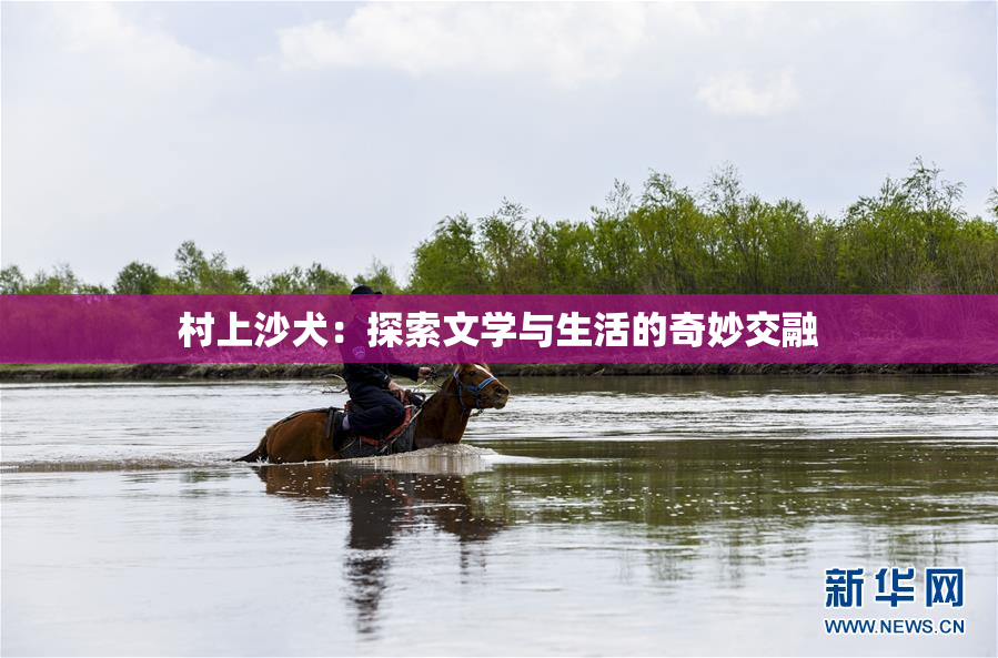 村上沙犬：探索文学与生活的奇妙交融