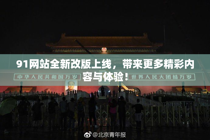 91网站全新改版上线，带来更多精彩内容与体验！