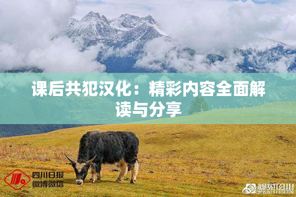 课后共犯汉化：精彩内容全面解读与分享
