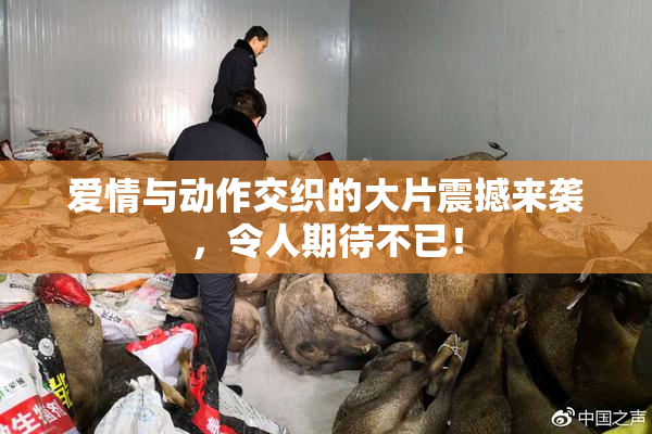 爱情与动作交织的大片震撼来袭，令人期待不已！