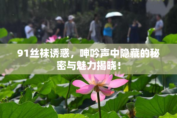 91丝袜诱惑，呻吟声中隐藏的秘密与魅力揭晓！