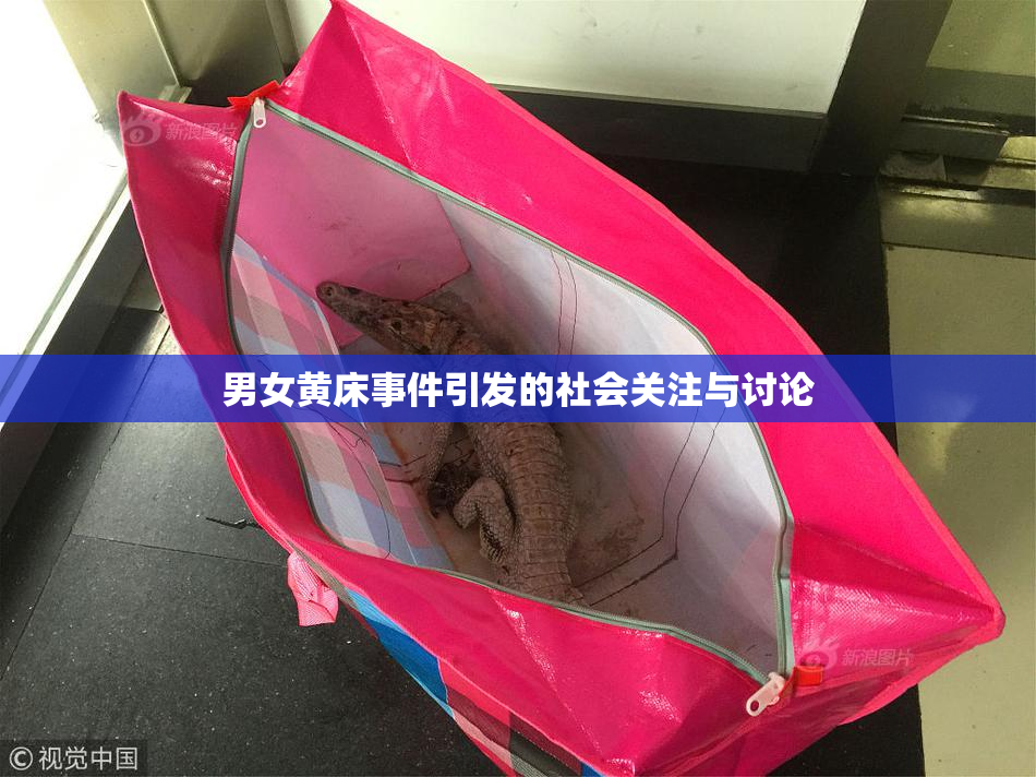 男女黄床事件引发的社会关注与讨论