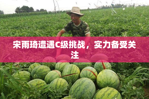 宋雨琦遭遇C级挑战，实力备受关注