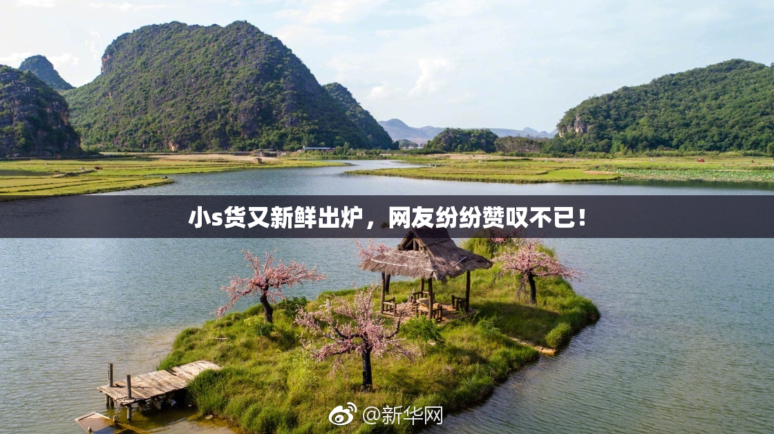 小s货又新鲜出炉，网友纷纷赞叹不已！