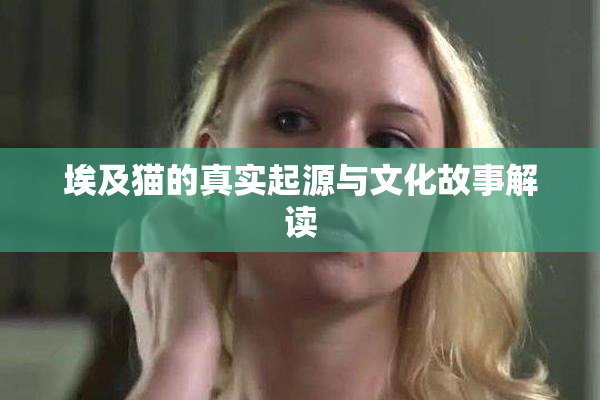 埃及猫的真实起源与文化故事解读