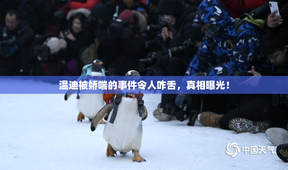 温迪被娇喘的事件令人咋舌，真相曝光！