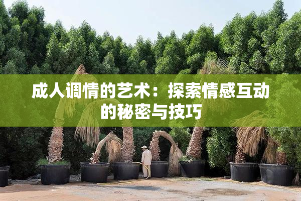 成人调情的艺术：探索情感互动的秘密与技巧