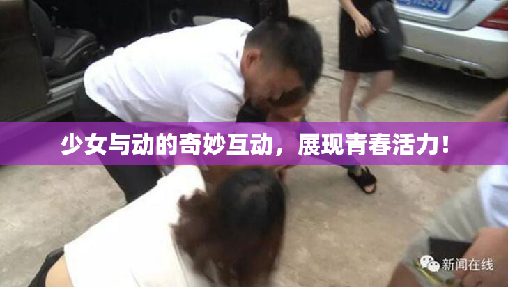 少女与动的奇妙互动，展现青春活力！