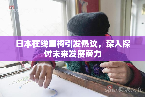 日本在线重构引发热议，深入探讨未来发展潜力