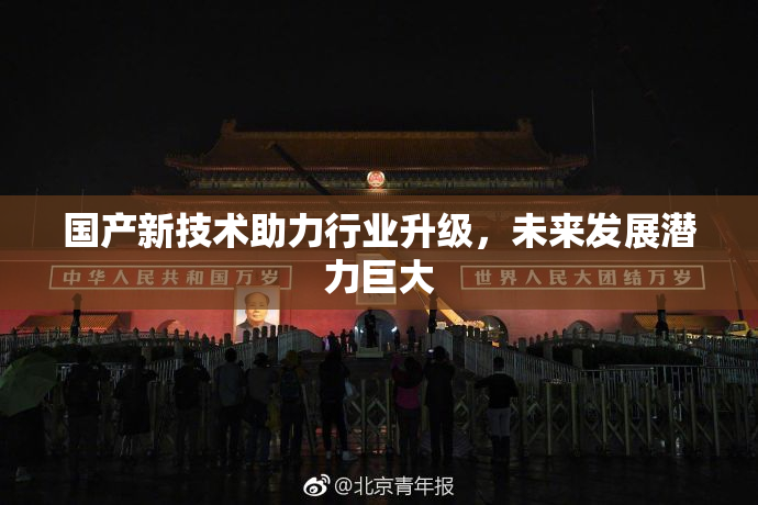 国产新技术助力行业升级，未来发展潜力巨大