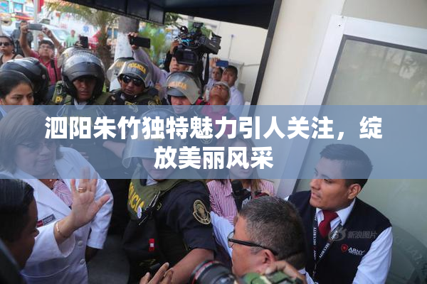 泗阳朱竹独特魅力引人关注，绽放美丽风采