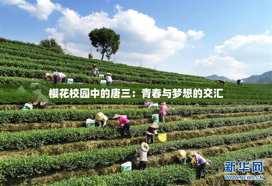 樱花校园中的唐三：青春与梦想的交汇