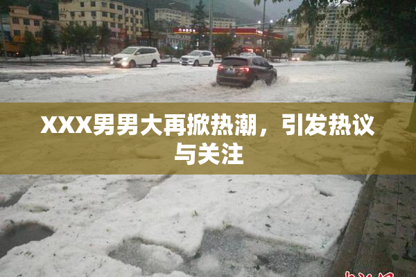 XXX男男大再掀热潮，引发热议与关注
