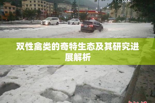 双性禽类的奇特生态及其研究进展解析