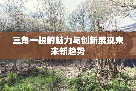 三角一根的魅力与创新展现未来新趋势