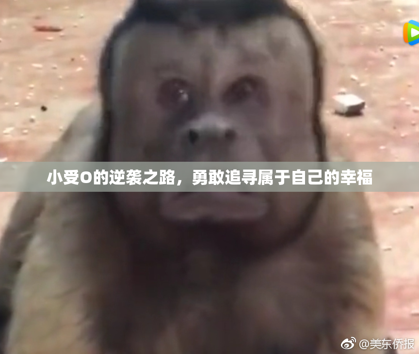 小受O的逆袭之路，勇敢追寻属于自己的幸福