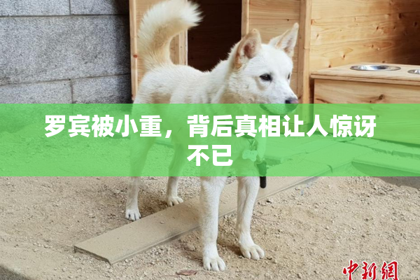 罗宾被小重，背后真相让人惊讶不已