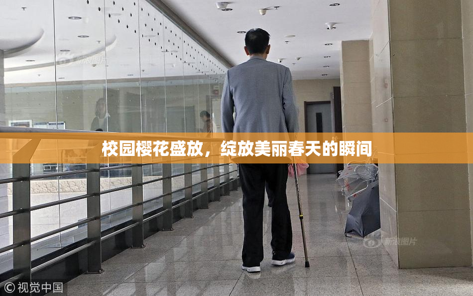 校园樱花盛放，绽放美丽春天的瞬间