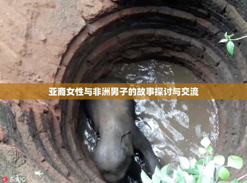 亚裔女性与非洲男子的故事探讨与交流