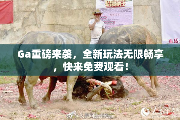 Ga重磅来袭，全新玩法无限畅享，快来免费观看！
