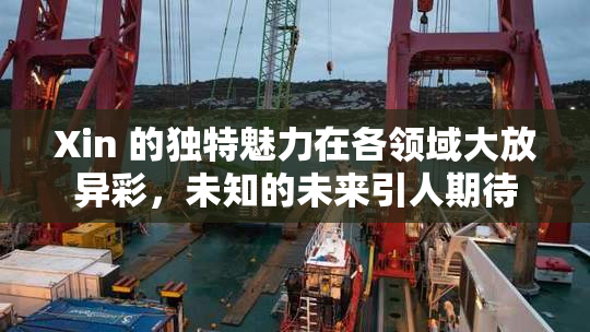 Xin 的独特魅力在各领域大放异彩，未知的未来引人期待