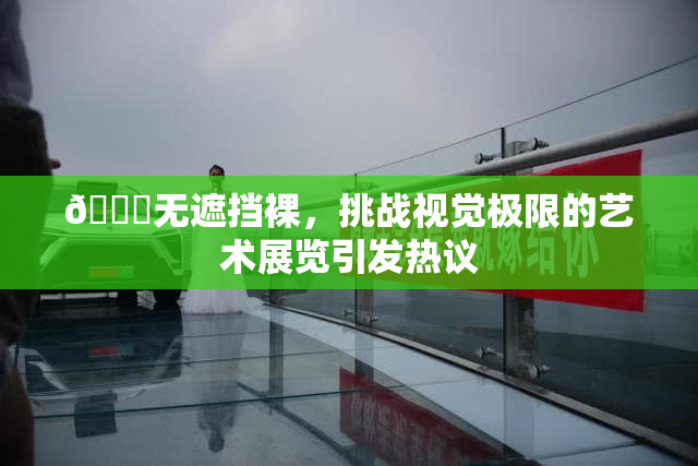 🔞无遮挡裸，挑战视觉极限的艺术展览引发热议