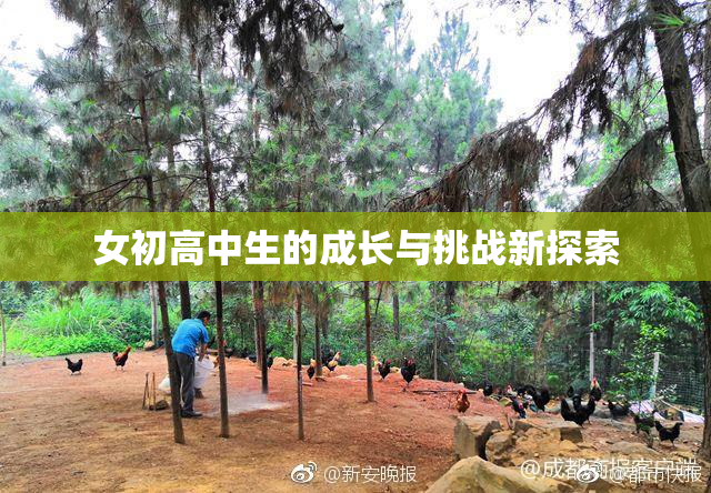女初高中生的成长与挑战新探索