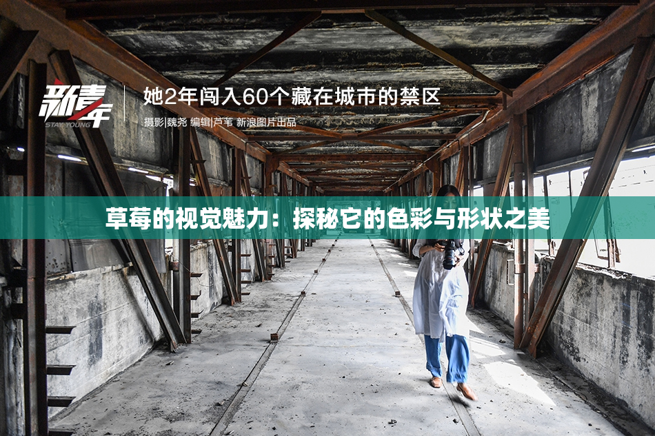 草莓的视觉魅力：探秘它的色彩与形状之美