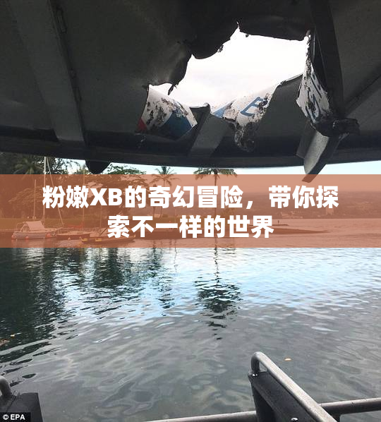 粉嫩XB的奇幻冒险，带你探索不一样的世界