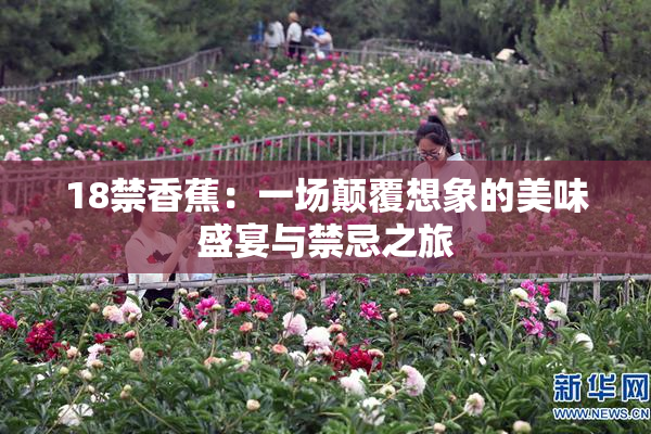 18禁香蕉：一场颠覆想象的美味盛宴与禁忌之旅