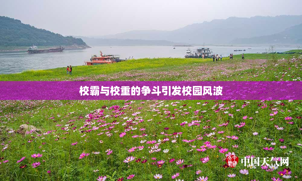 校霸与校重的争斗引发校园风波