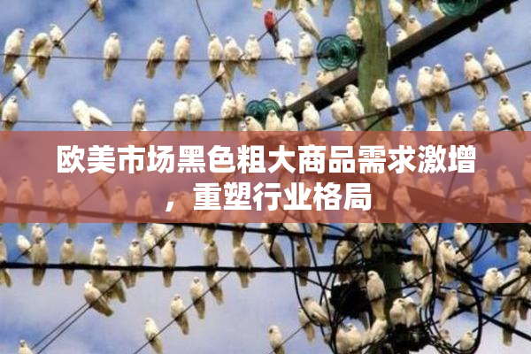 欧美市场黑色粗大商品需求激增，重塑行业格局