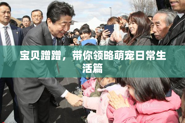 宝贝蹭蹭，带你领略萌宠日常生活篇