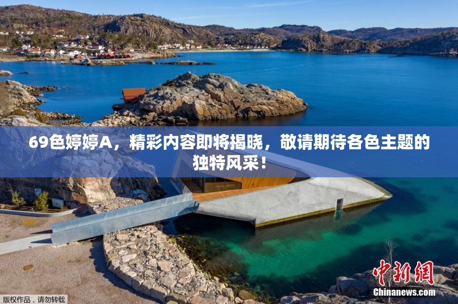 69色婷婷A，精彩内容即将揭晓，敬请期待各色主题的独特风采！