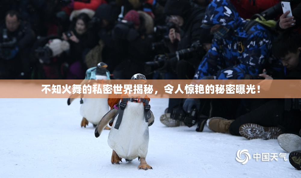 不知火舞的私密世界揭秘，令人惊艳的秘密曝光！