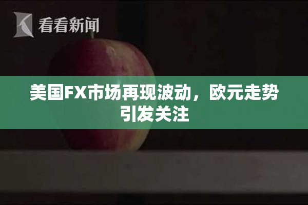 美国FX市场再现波动，欧元走势引发关注