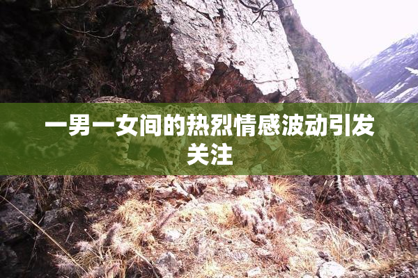 一男一女间的热烈情感波动引发关注
