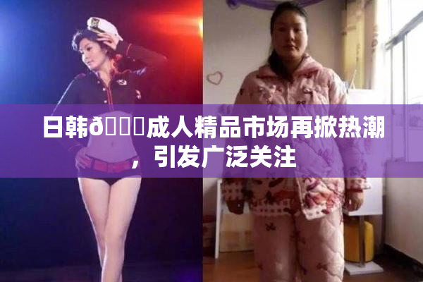 日韩🔞成人精品市场再掀热潮，引发广泛关注